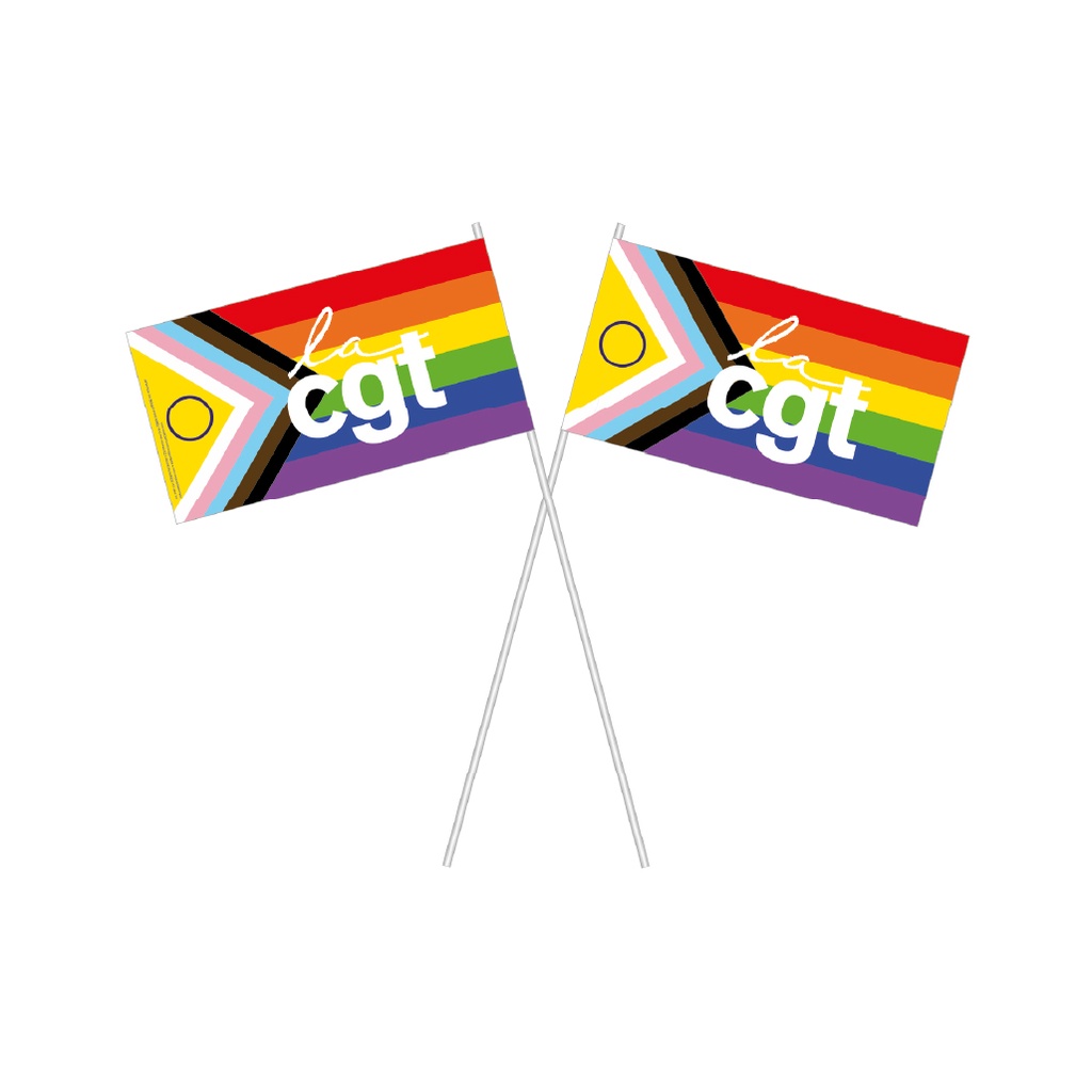 Mini drapeau papier LGBT 24x11 cm