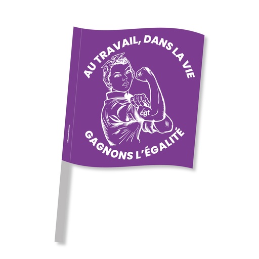 [CGTDRAPEGALITE45X50] Drapeau Egalité pro 45x50 cm 