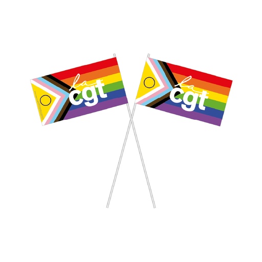 [BOUTIQUECGT_MINIDRAPLGBT24X11] Mini drapeau papier LGBT 24x11 cm